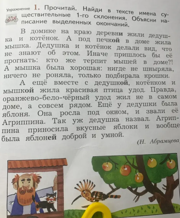 Найди в тексте имена существительные 1-го склонения и объясни написание выделенных окончаний.