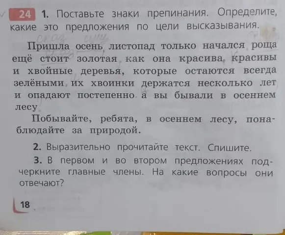 Помоги поставить знаки препинания и определить тип предложений в упражнении