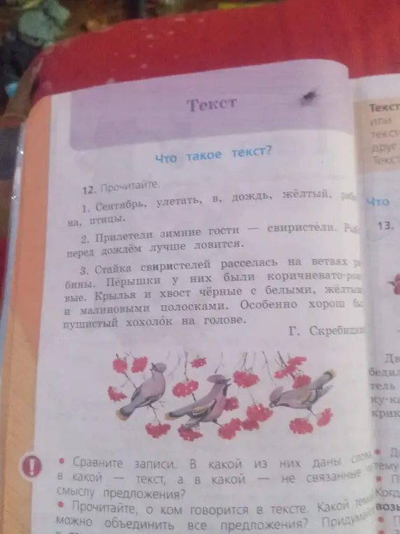 Выполни упражнение 12: прочитай тексты.