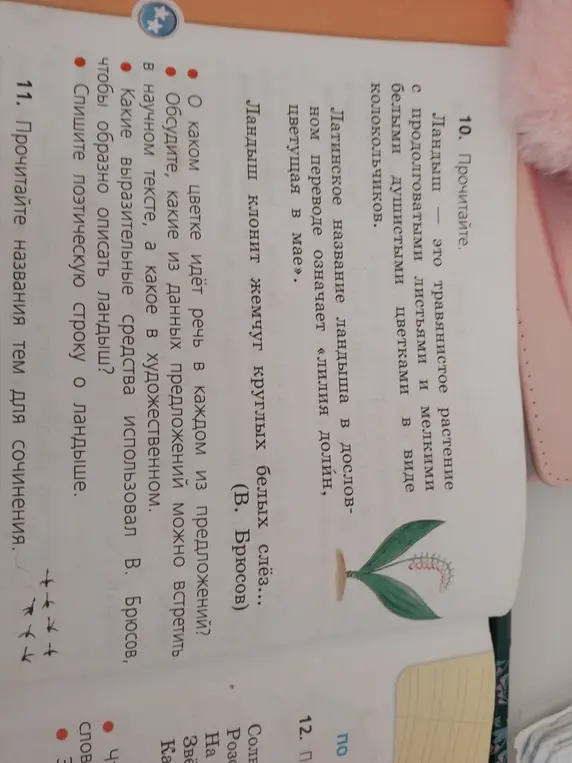 Обсуди, о каком цветке идёт речь в каждом из предложений в задании 11