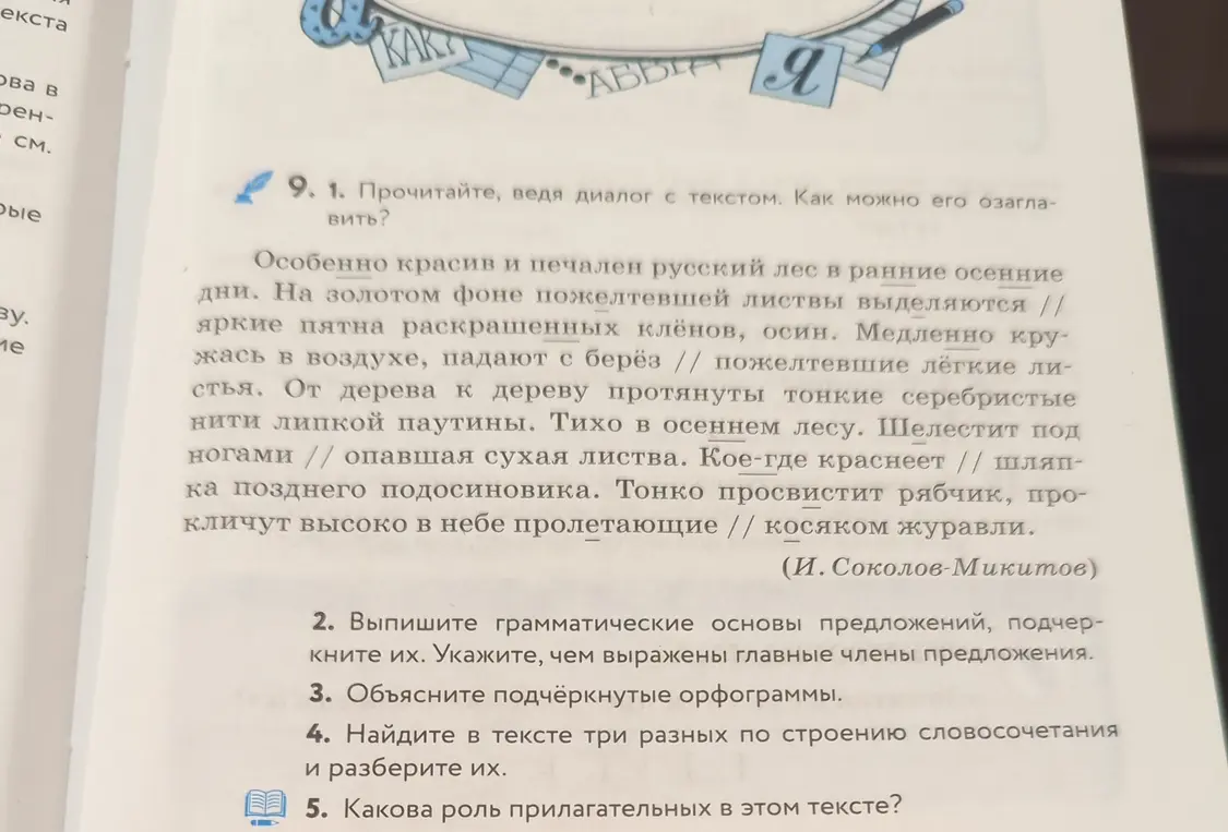 Ты просишь помочь озаглавить текст, выписать грамматические основы предложений, объяснить орфограммы, найти словосочетания и определить роль прилагательных.