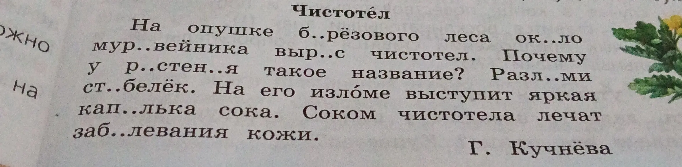 Заполни пропуски в тексте про чистотел