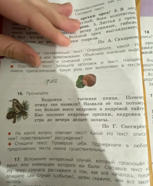 Выполни упражнение 16. Спиши текст. Проверь себя. Подчеркни в любом предложении текста имена существительные.