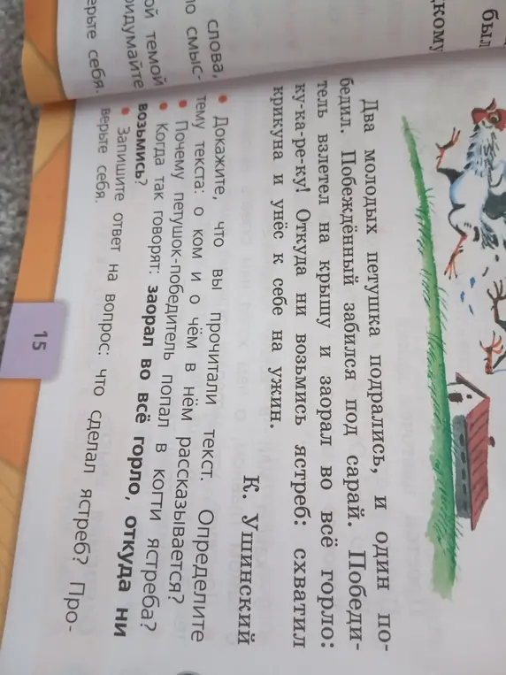 Что сделал ястреб?
