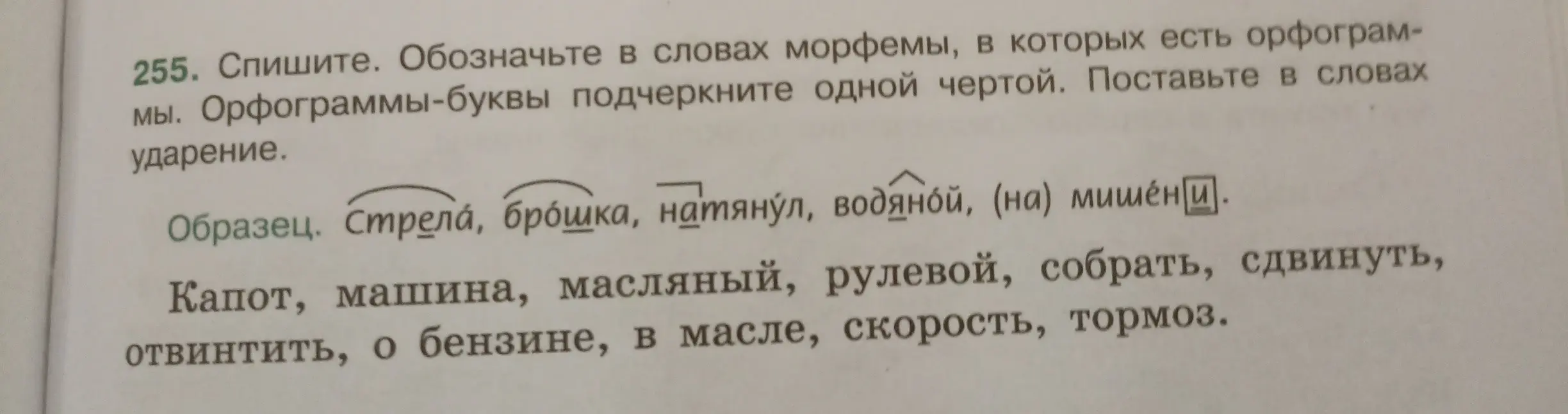 Выполни задание: Обозначь в словах морфемы, в которых есть орфограммы. Орфограммы-буквы подчеркни одной чертой. Поставь в словах ударение.