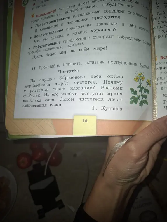 Ты просишь помочь вставить пропущенные буквы в тексте про чистотел.