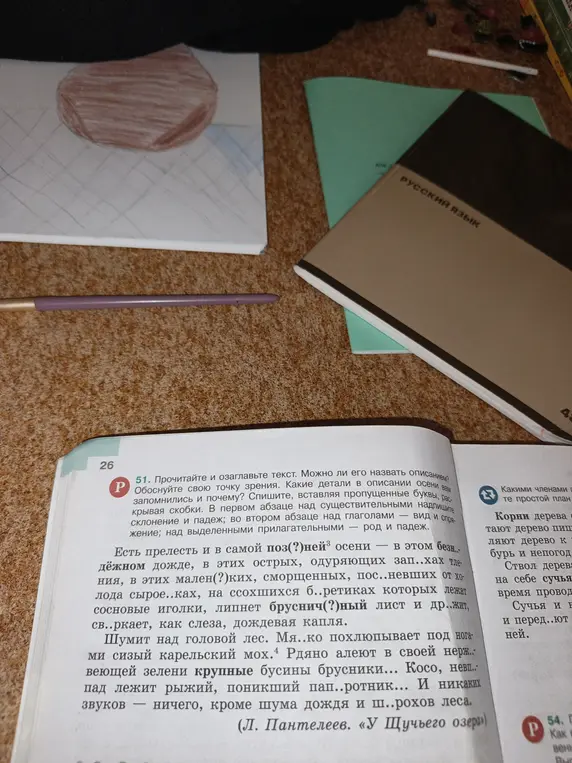 Прочитай и озаглавь текст. В первом абзаце над существительными надпиши склонение и падеж; во втором абзаце над глаголами — вид и спряжение; над выделенными прилагательными — род и падеж.