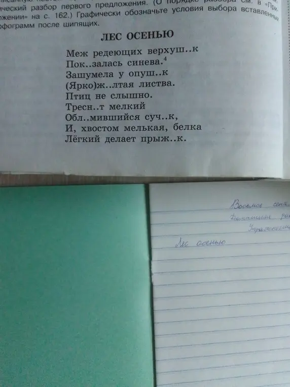 Вставь пропущенные буквы в словах: Меж редеющих верхуш..к