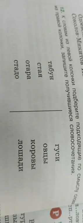 Подбери подходящие по смыслу слова к словам из левой колонки из правой колонки и запиши получившиеся словосочетания