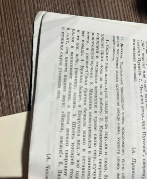Выполни задание: подчеркни однородные члены предложения и укажи слово, имеющее омоним