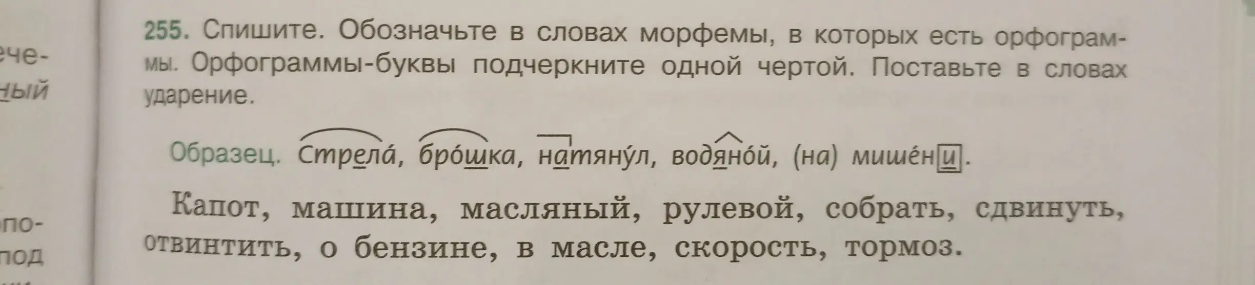 Помоги обозначить в словах морфемы, в которых есть орфограммы, подчеркнуть орфограммы-буквы одной чертой и поставить в словах ударение.