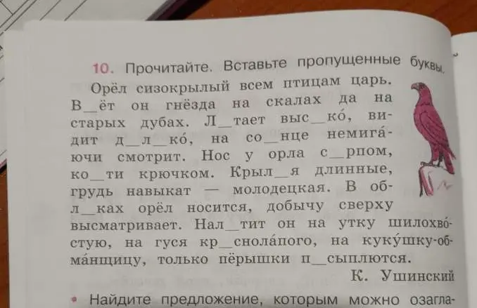 В упражнении 10 нужно вставить пропущенные буквы