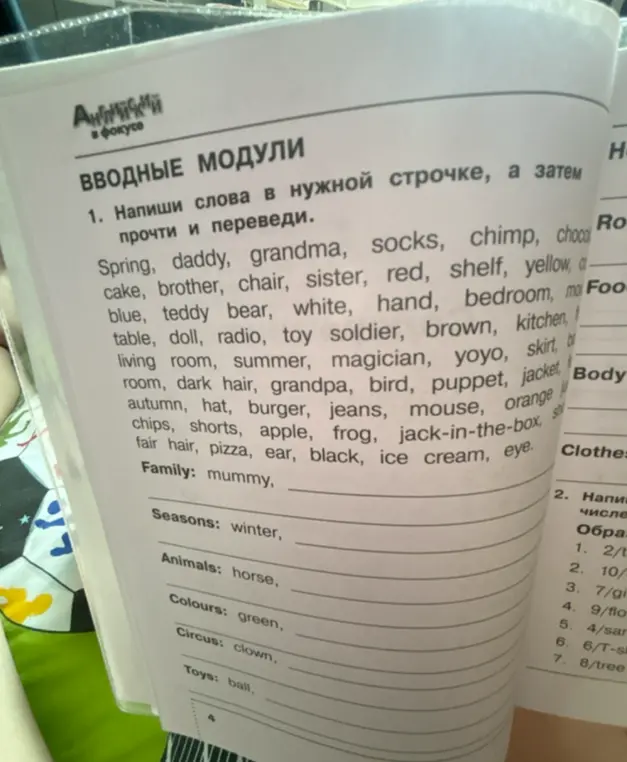 Напиши слова в нужной строчке, а затем прочти и переведи.