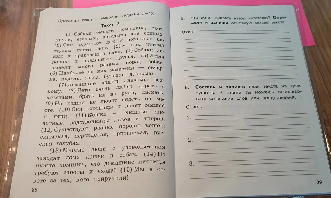 Определи основную мысль текста и составь план текста из трёх пунктов.