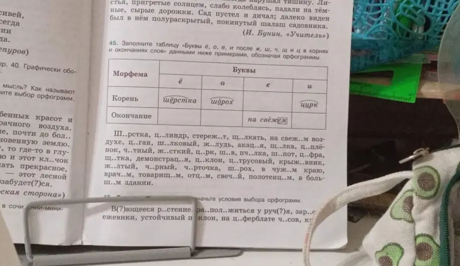 Заполни таблицу «Буквы ё, о, е, и после ж, ш, ч, щ и ц в корнях и окончаниях слов» данными ниже примерами, обозначая орфограммы