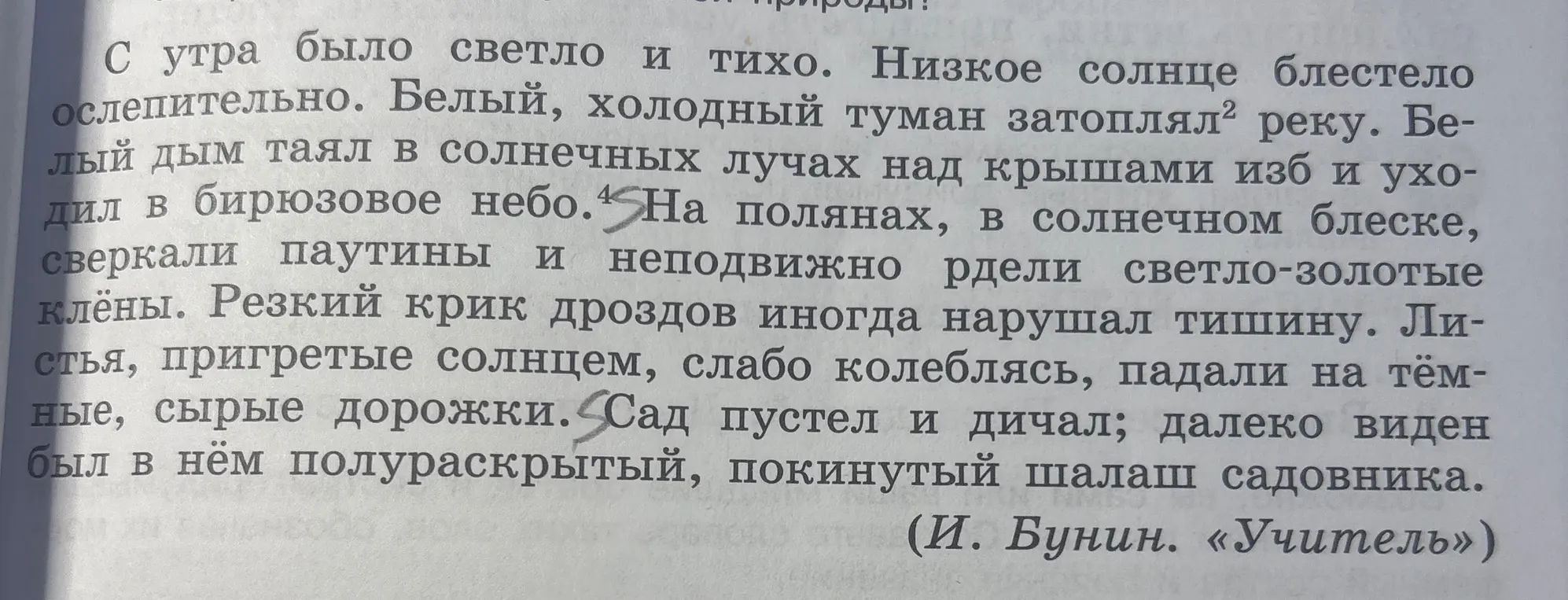 Можешь ли разделить текст на 2-3 абзаца?