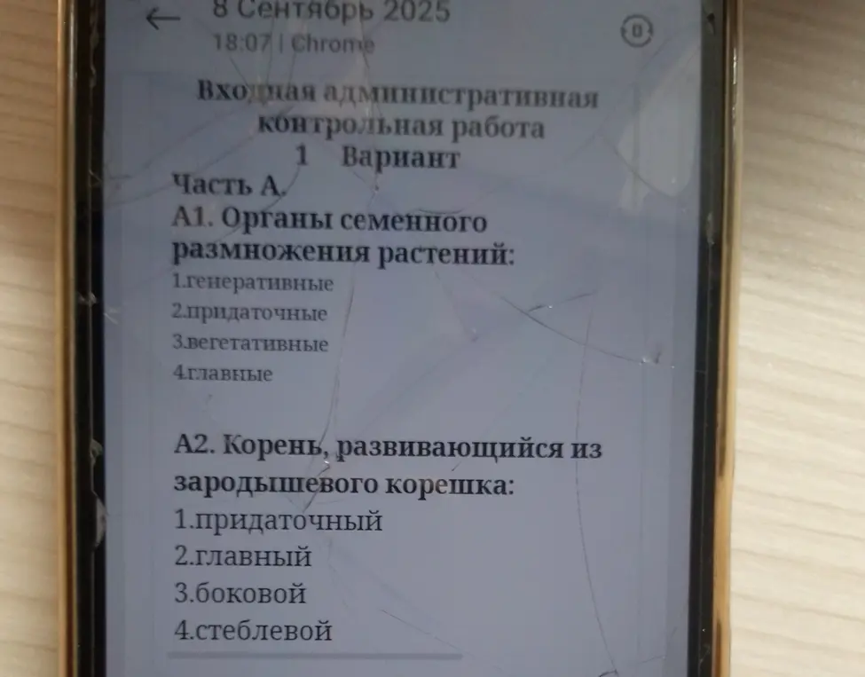 Выбери правильные ответы на вопросы: 1. Органы семенного размножения растений; 2. Корень, развивающийся из зародышевого корешка