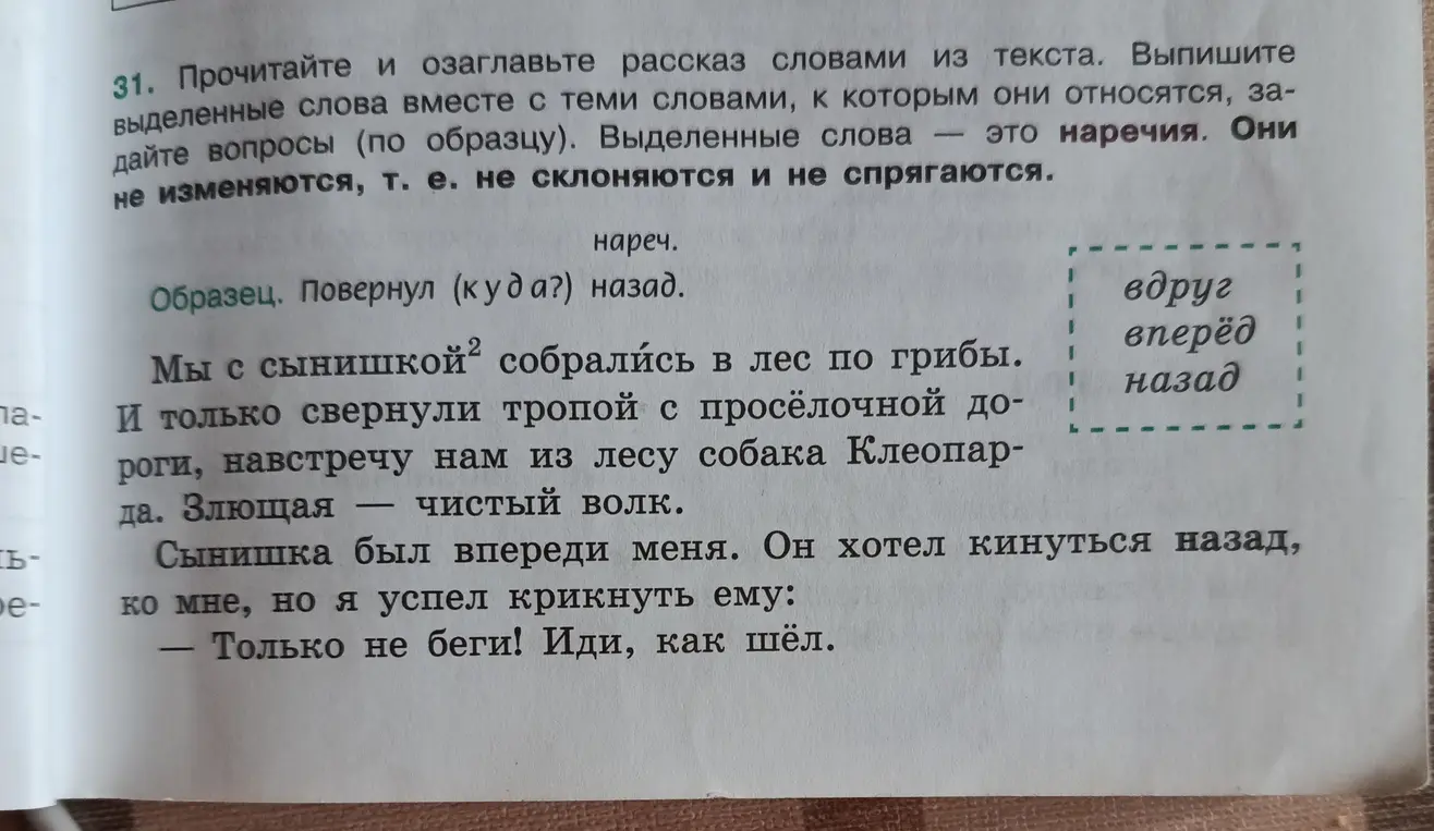 Помоги мне озаглавить рассказ и выпиши выделенные слова вместе с теми словами, к которым они относятся, задай вопросы