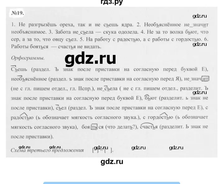 Выполни упражнение 19 по русскому языку для 7 класса