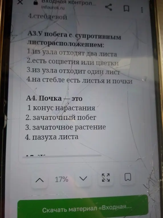 Выбери правильный ответ на вопрос: 'У побега с супротивным листорасположением...' и 'Почка - это...'