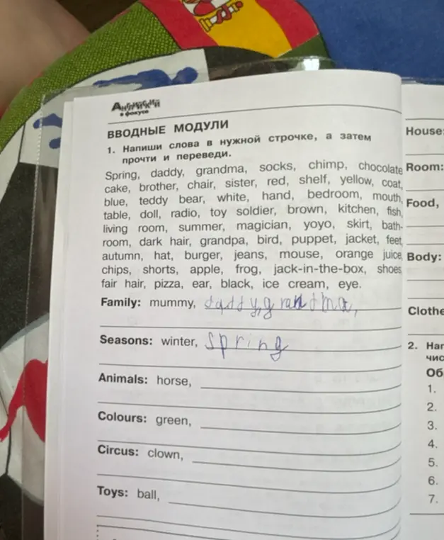Помоги написать слова в нужной строчке, а затем прочитать и перевести их.