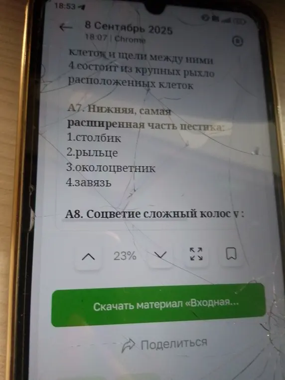 Ответь на вопросы: 1. Нижняя, самая расширенная часть пестика? 2. Соцветие сложный колос у?