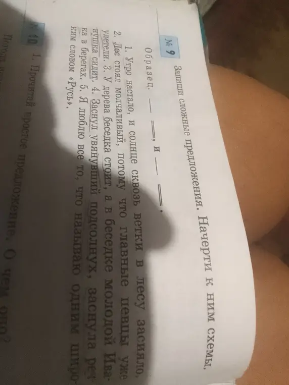 Помоги записать сложные предложения и начертить к ним схемы.