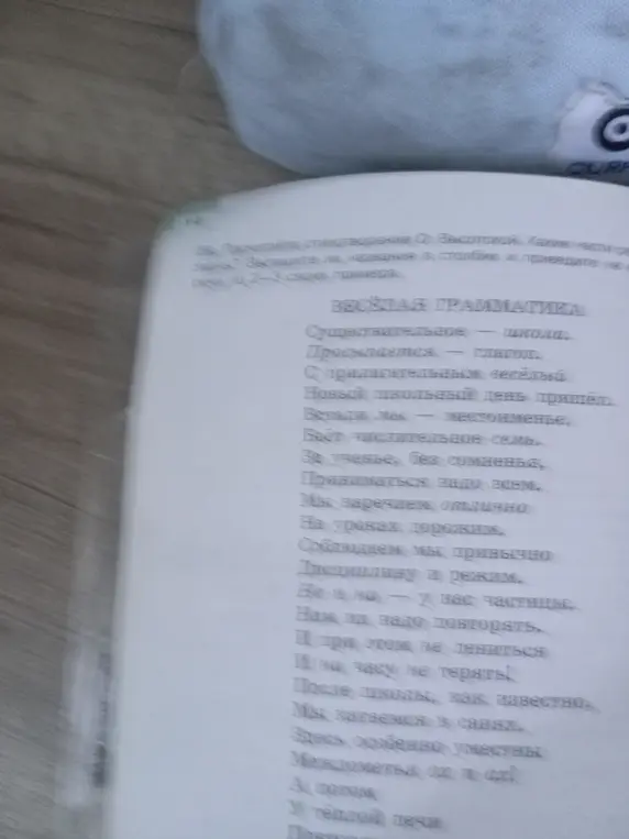 Ты просишь прочитать стихотворение О. Высотской и выписать названия частей речи в столбик с примерами.