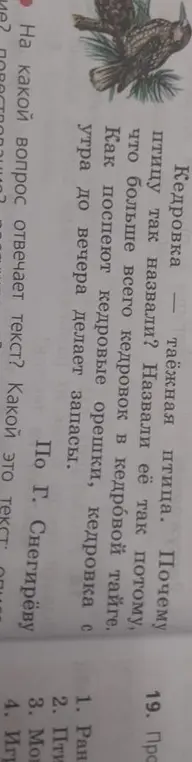 На какой вопрос отвечает текст о кедровке?