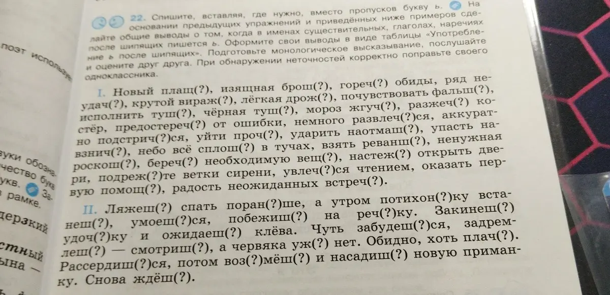 В упражнении 22 вставить, где нужно, вместо пропусков букву ь в словах: Новый плащ(?), изящная брош(?), гореч(?) обиды...