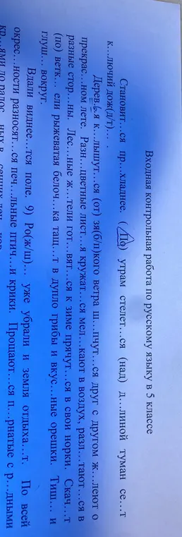 Вставь пропущенные буквы в слова.