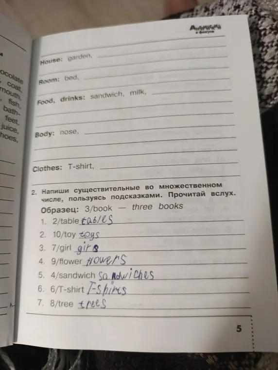 Ты просишь написать существительные во множественном числе.