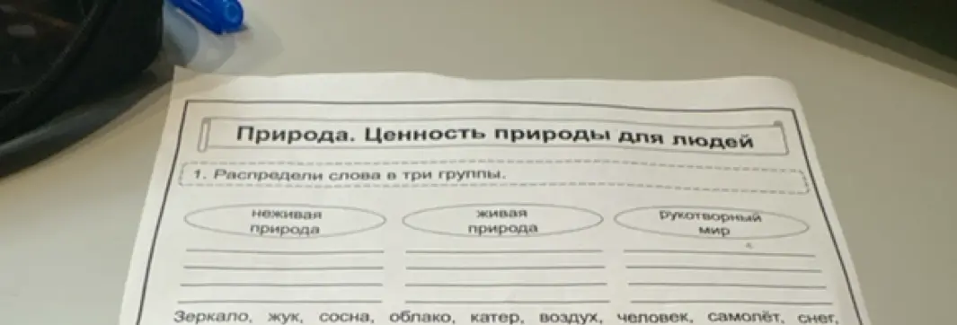 Предложи распределить слова по группам: неживая природа, живая природа, рукотворный мир
