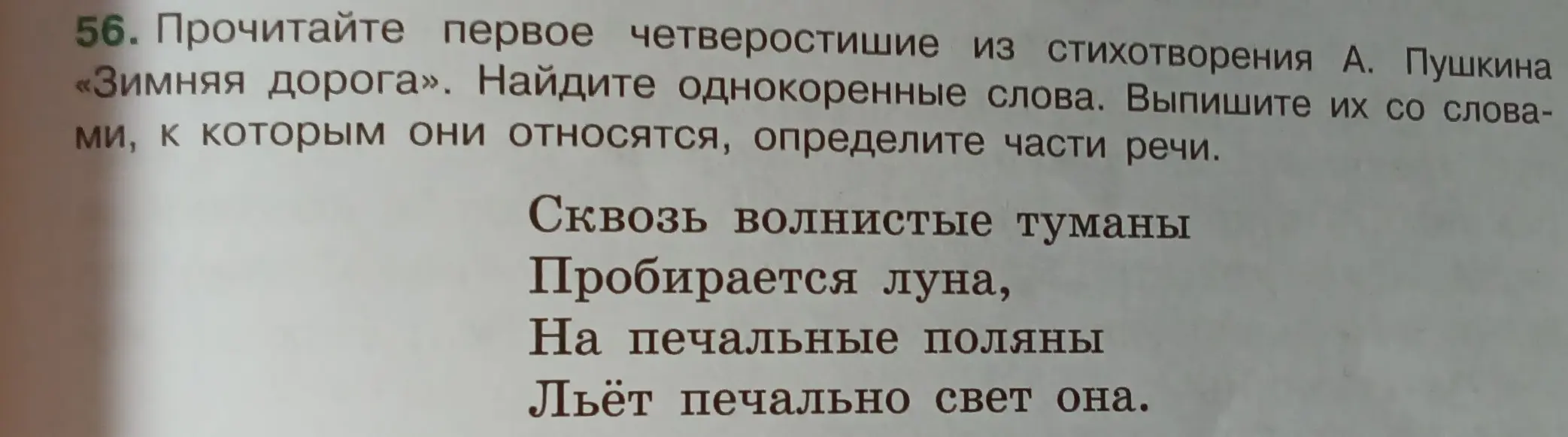 Можешь ли ты найти однокоренные слова в стихотворении «Зимняя дорога» и определить части речи?