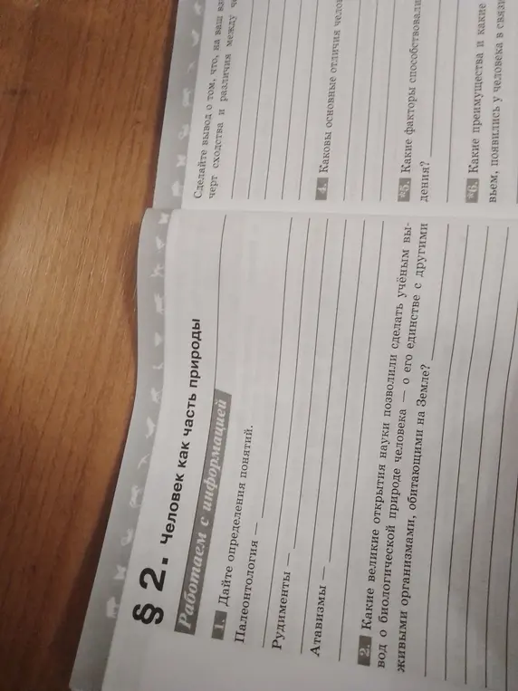 Дай определения понятиям: Палеонтология, Рудименты, Атавизмы.