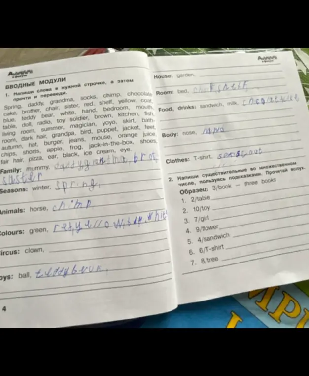 Напиши слова в нужной строчке, а затем прочти и переведи.