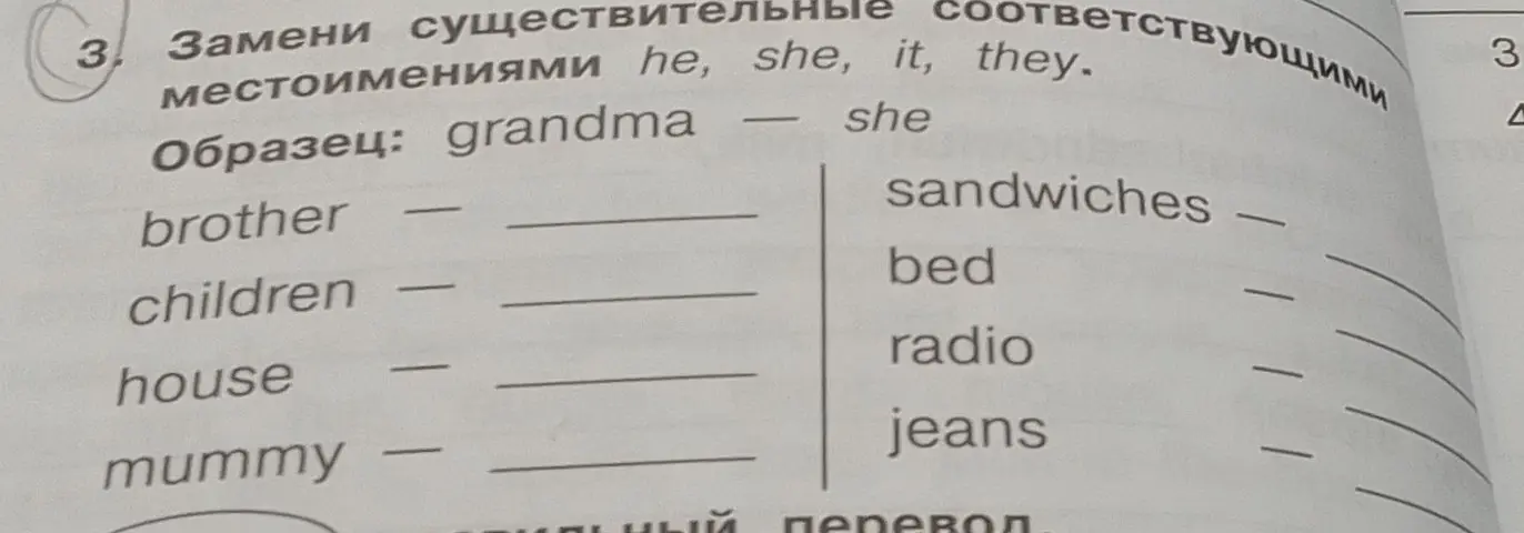 Замени существительные местоимениями he, she, it, they