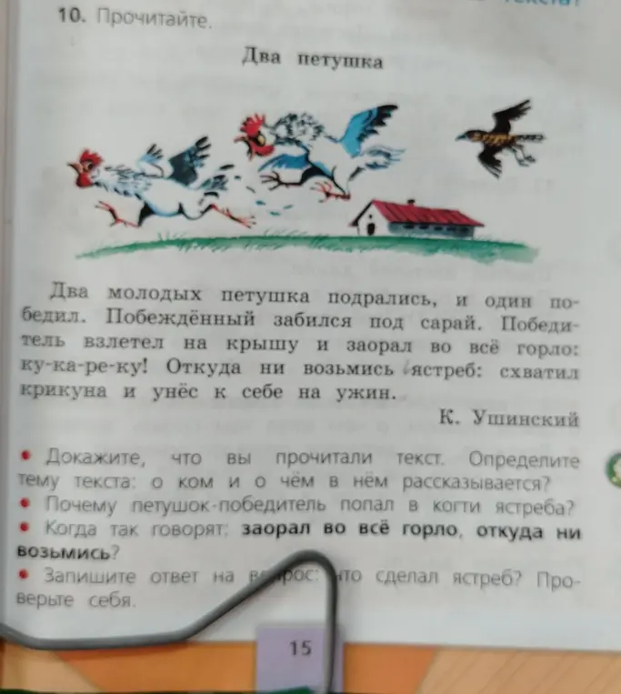 Определи тему текста: о ком и о чем в нем рассказывается?