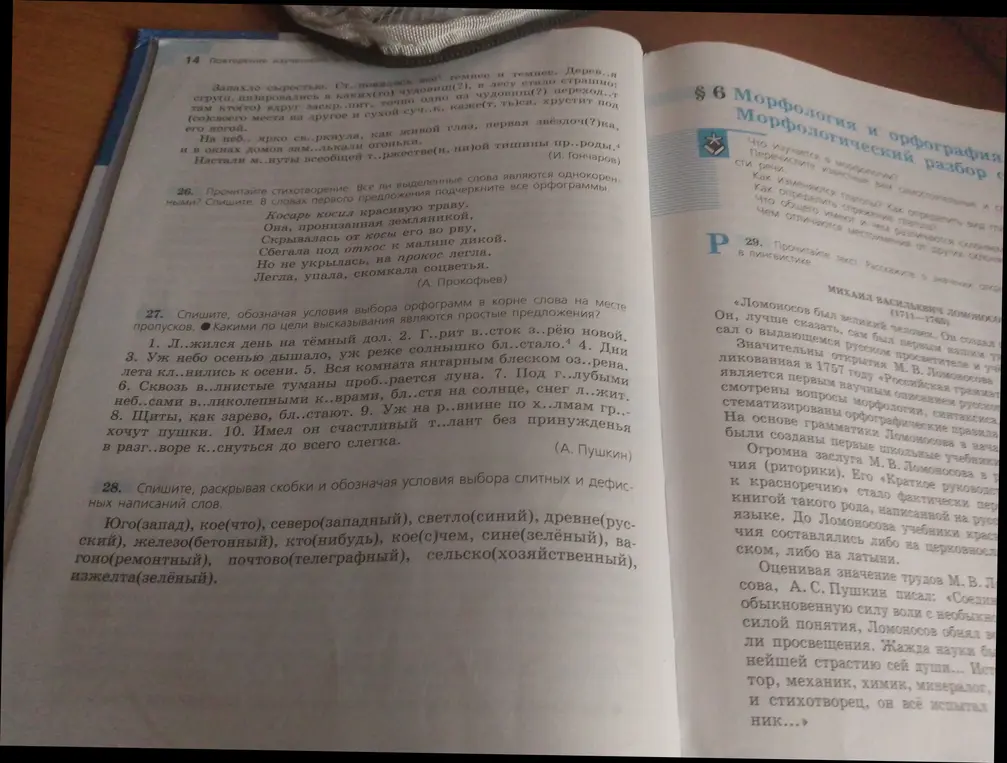 Объяснишь, как выполнить упражнения 27 и 28