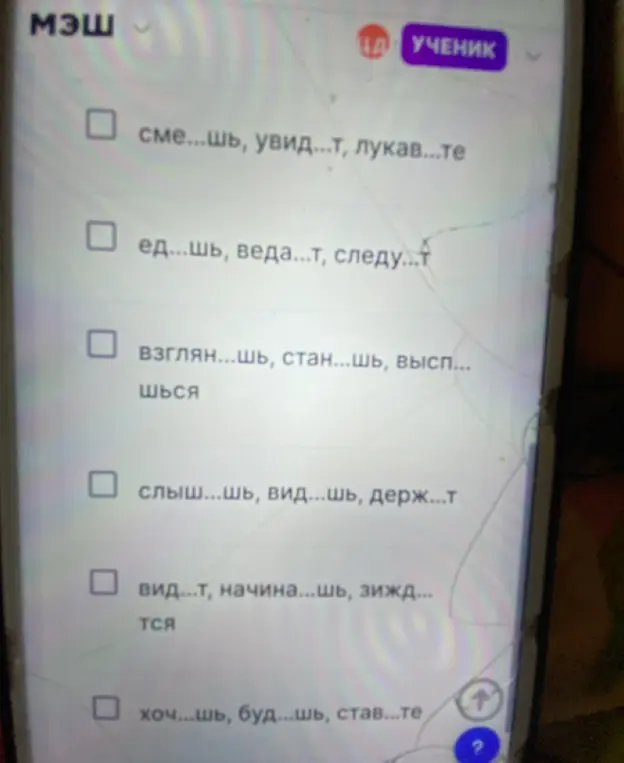 Помоги вставить буквы в словах сме...шь, увид...т, лукав...те
