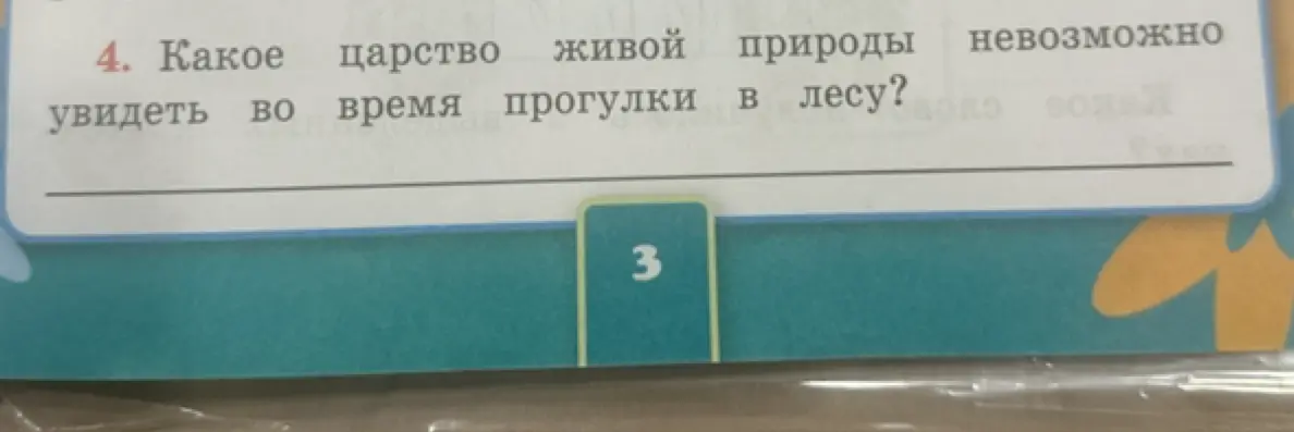 Ты спрашиваешь, какое царство живой природы невозможно увидеть во время прогулки в лесу?