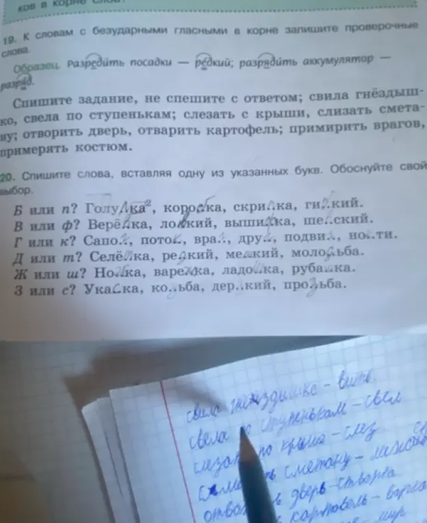 Составь слова с безударными гласными в корне, запиши проверочные слова и вставь буквы в словах