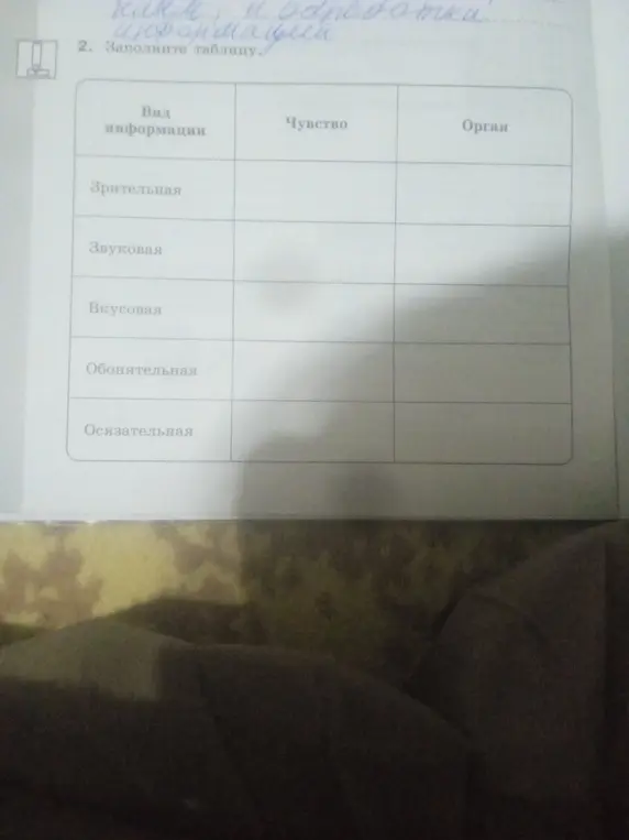 Мне нужно заполнить таблицу: Вид информации, чувство и орган.