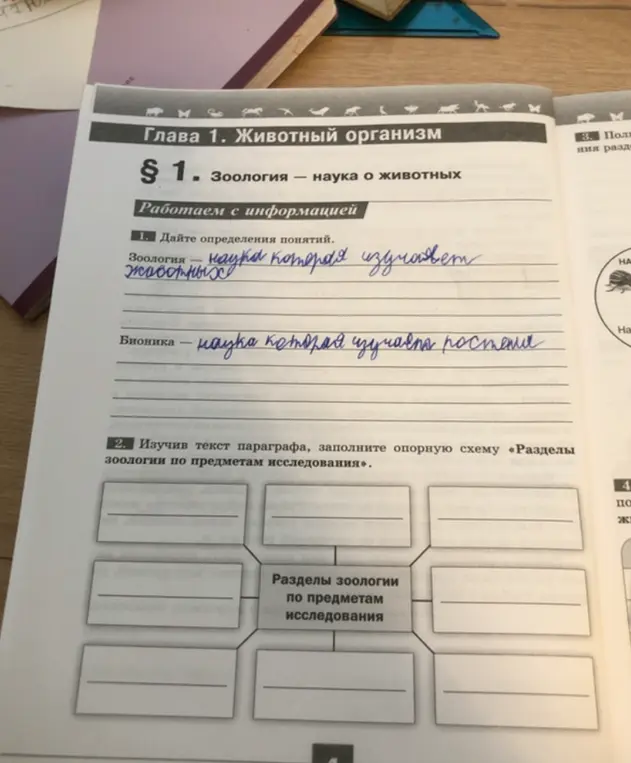 Дай определения понятий зоология и бионика.