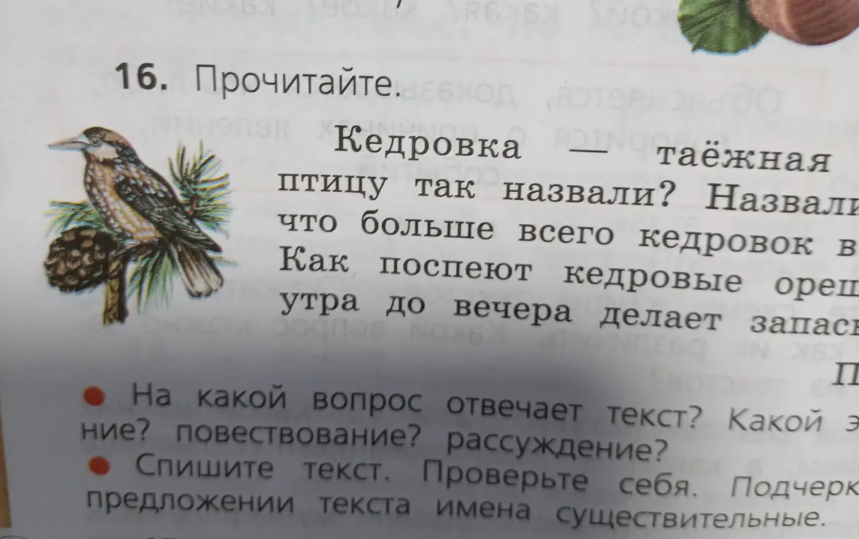 Определи, на какой вопрос отвечает текст про кедровку, и подчеркни имена существительные в тексте.