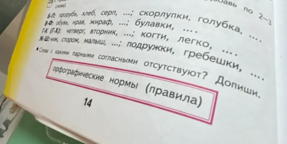 Определи слова с какими парными согласными отсутствуют в упражнении.