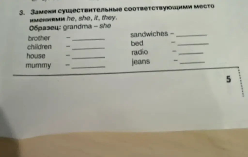 Замени существительные местоимениями he, she, it, they в упражнении.