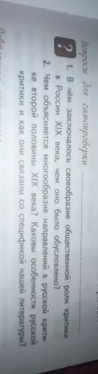 Объясни, в чём заключалось своеобразие общественной роли критики в России ХІХ века.