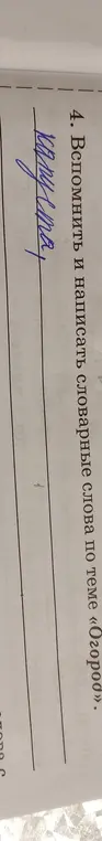 Предложи мне слова по теме «Огород»