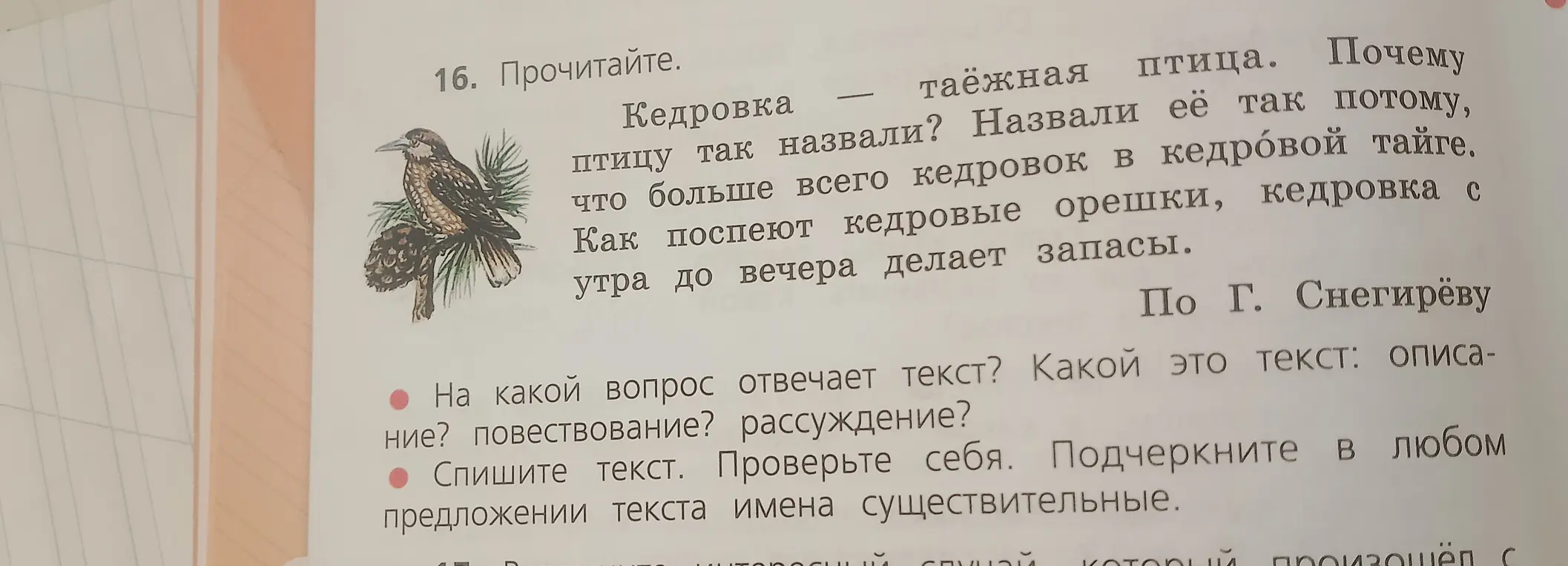 Как определить, на какой вопрос отвечает текст и какой это текст: описание, повествование или рассуждение?